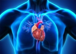 Кардиология и кардиохирургия